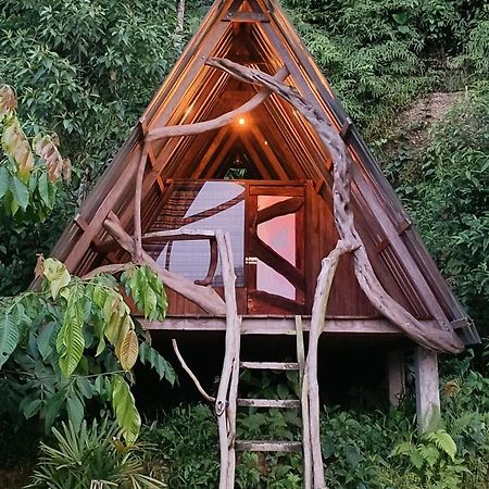特纳 Jungle Roots酒店 外观 照片