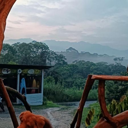 特纳 Jungle Roots酒店 外观 照片