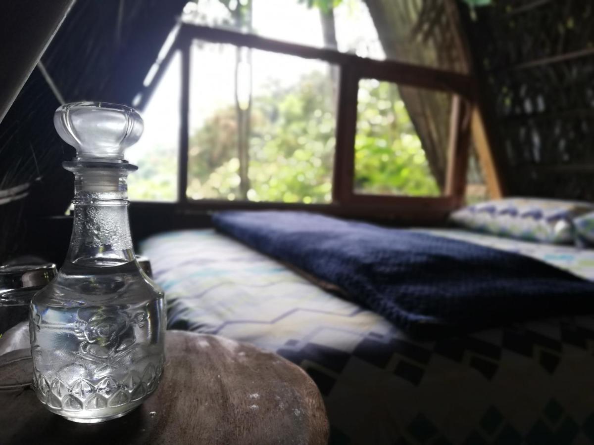 特纳 Jungle Roots酒店 外观 照片