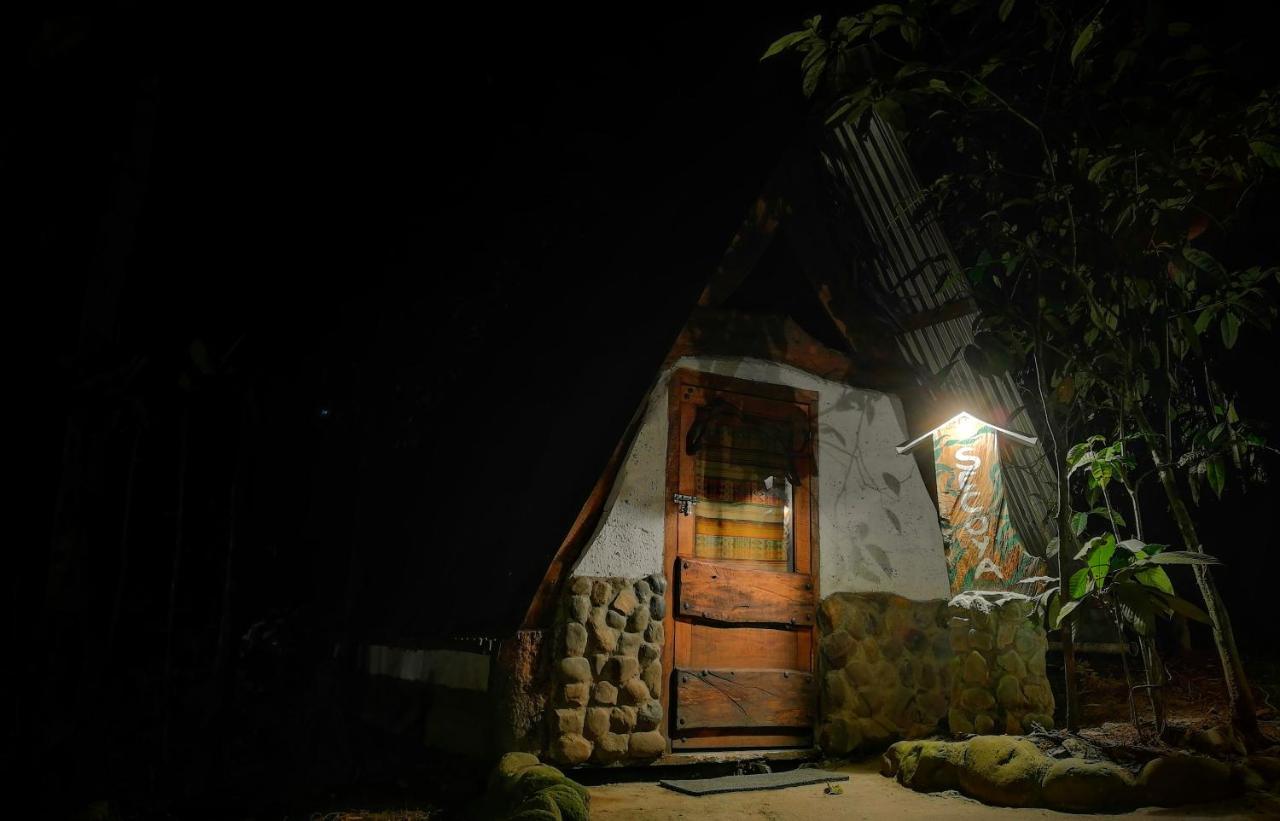 特纳 Jungle Roots酒店 外观 照片