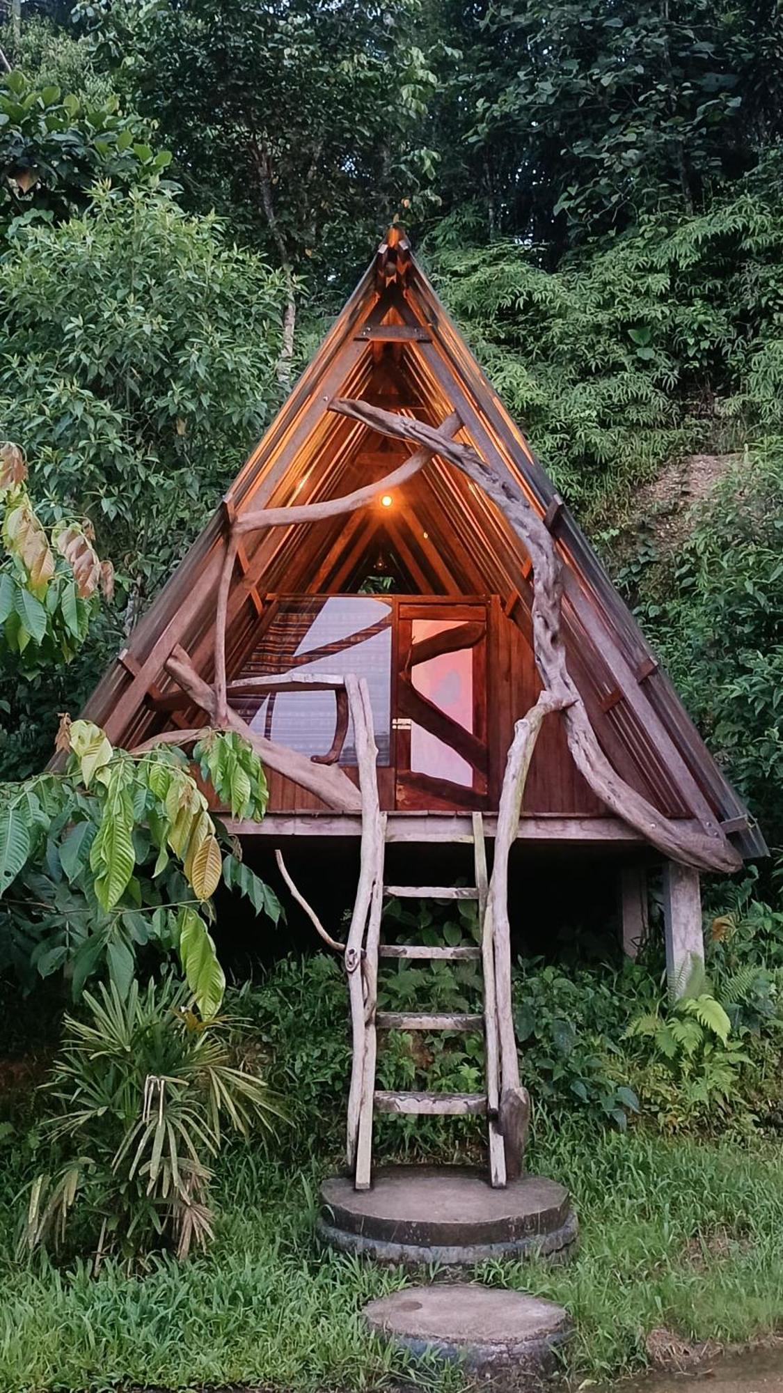 特纳 Jungle Roots酒店 外观 照片