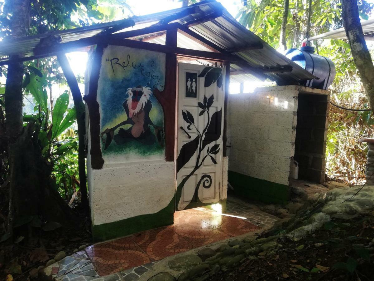 特纳 Jungle Roots酒店 外观 照片