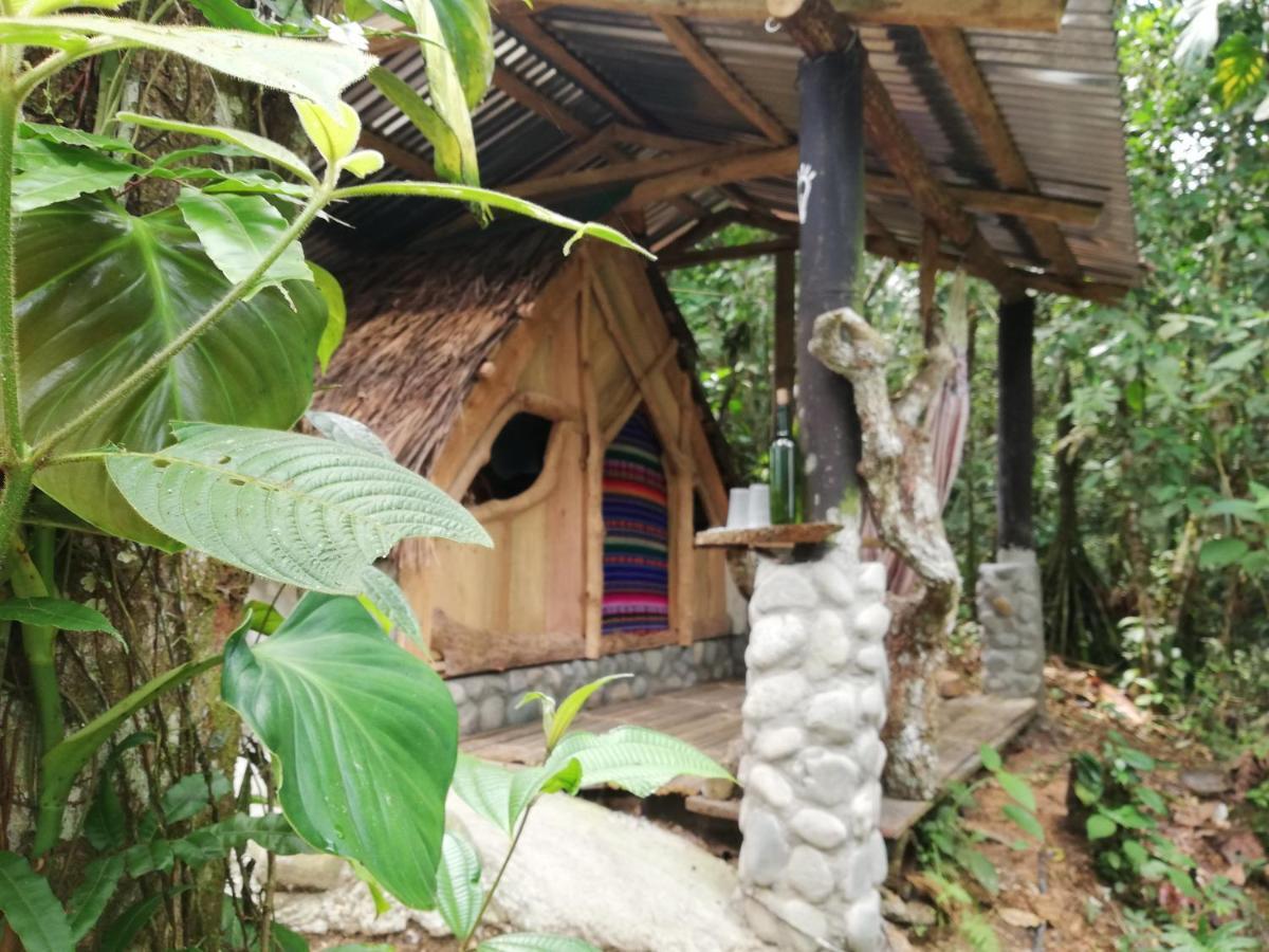 特纳 Jungle Roots酒店 外观 照片