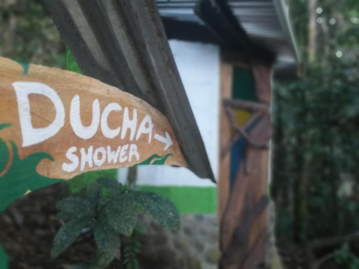 特纳 Jungle Roots酒店 外观 照片